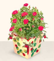 flowers2995.jpg